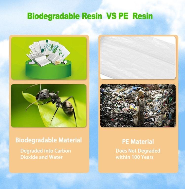 disposable yogurt spoon PP+ cornstarch (3)