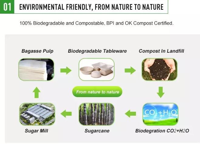 Biodegradable Material
