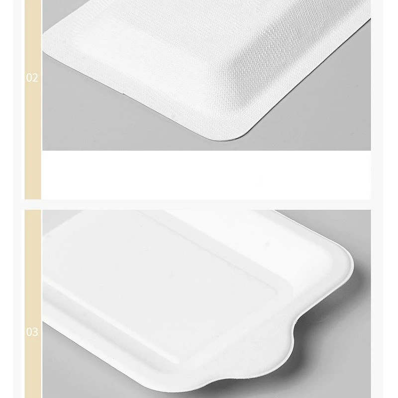 Compostable Paper Pulp Plate 3