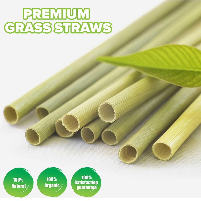 Biodegradable Individually Wrapped Grass Straw 1