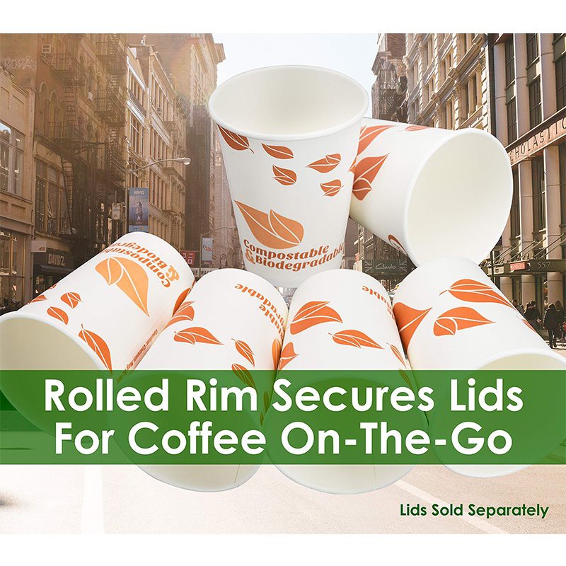 Biodegradable 12 oz Paper cup 2