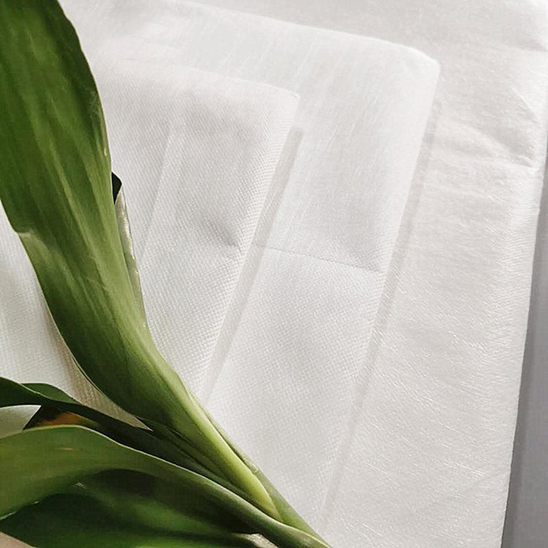Biodegradable PLA Meltblown Non woven Biodegradable PLA Meltblown Non woven