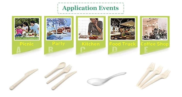 Compostable Sugarcane Cutlery Disposable - application