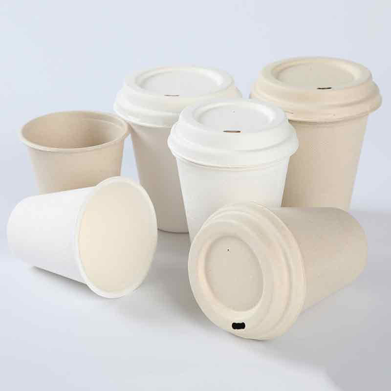 Disposable Sugarcane 9oz Paper cups 4 Disposable Sugarcane 9oz Paper cups 4