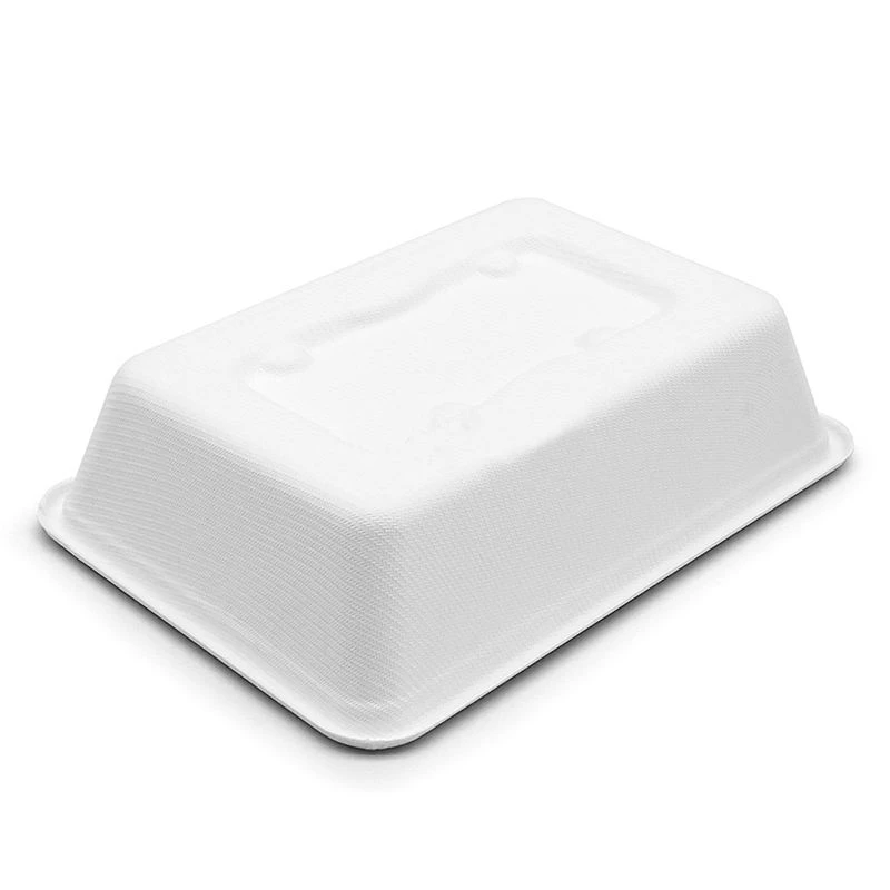Disposable Sugarcane pulp 450ml Lunch Box - bottom Disposable Sugarcane pulp 450ml Lunch Box - bottom