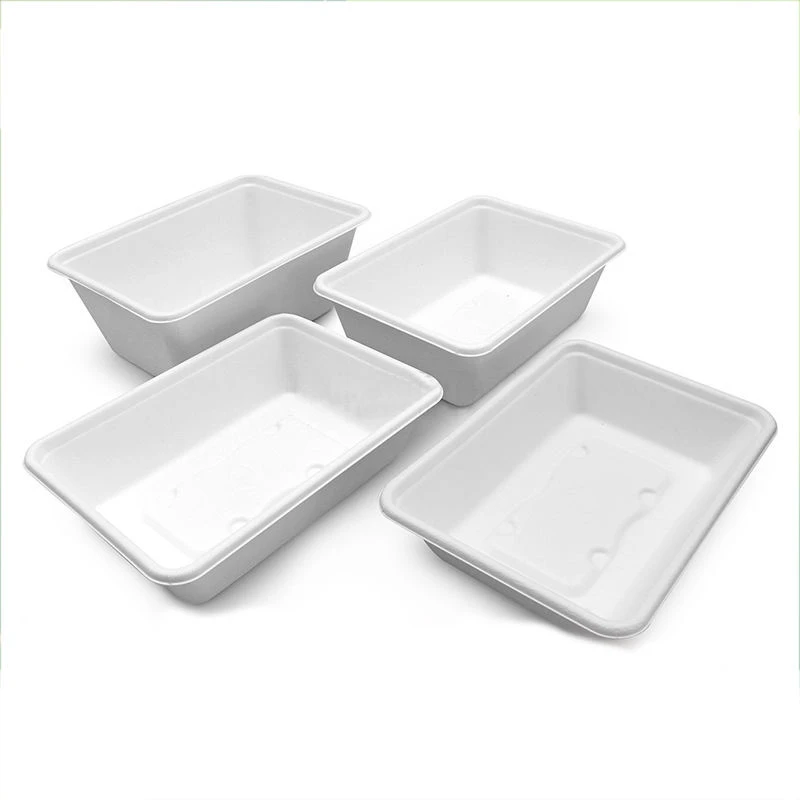 Disposable Sugarcane pulp 450ml Lunch Box 3 Disposable Sugarcane pulp 450ml Lunch Box 3