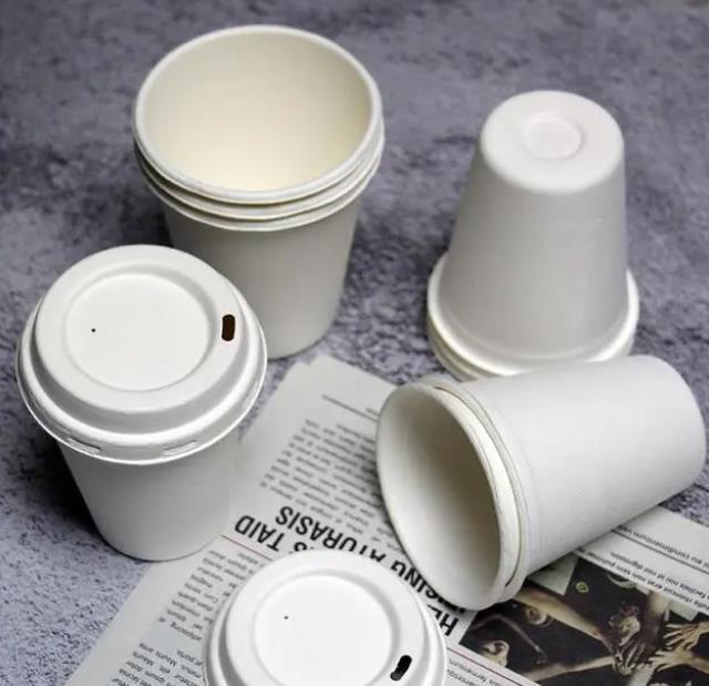 Sugarcane cups Sugarcane cups