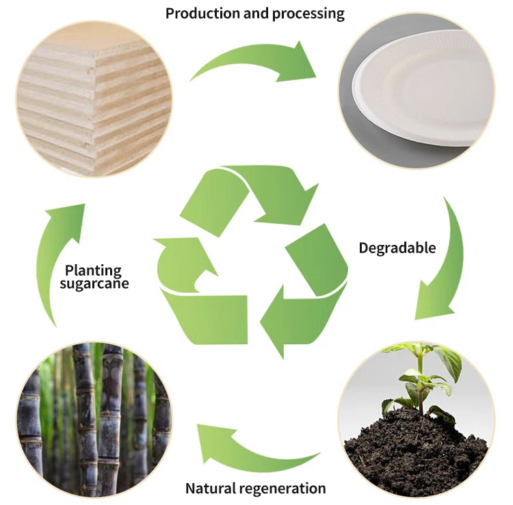 Compostable Takeout Sugarcane Dinner Container - compostable