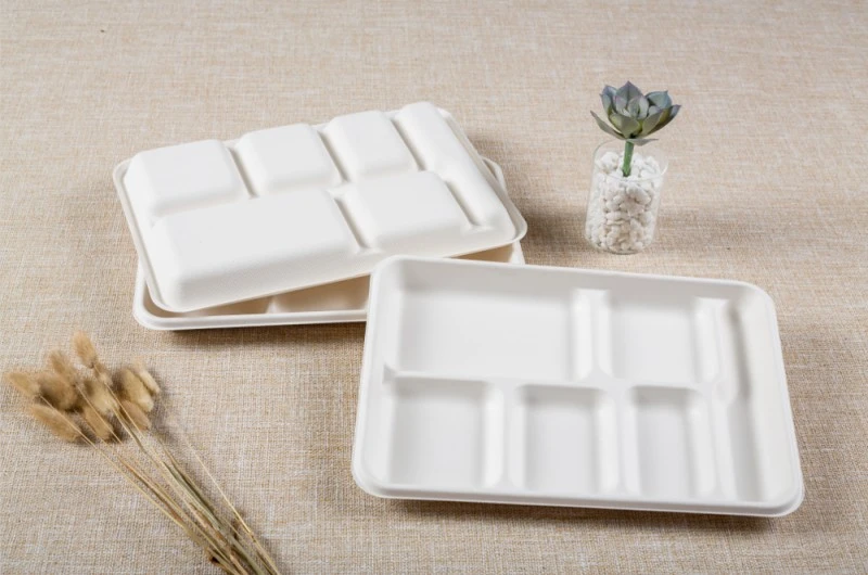 Compostable Sugarcane Food tray 6 Division 2 Compostable Sugarcane Food tray 6 Division 2