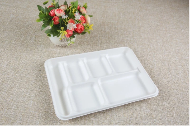 Compostable Sugarcane Food tray 6 Division 3 Compostable Sugarcane Food tray 6 Division 3