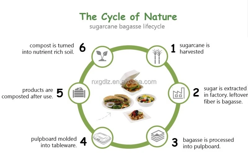 Compostable Sugarcane Food tray 6 Division - cycle Compostable Sugarcane Food tray 6 Division - cycle