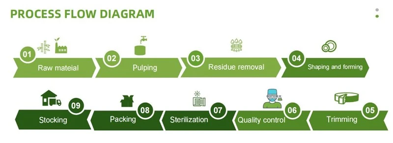 Compostable Sugarcane Food tray 6 Division - process Compostable Sugarcane Food tray 6 Division - process