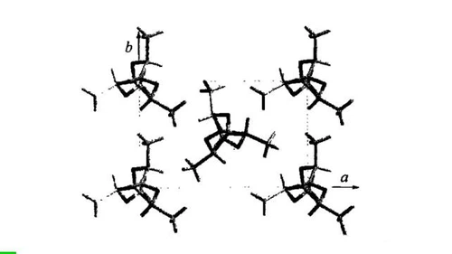 Gamma crystal form Gamma crystal form