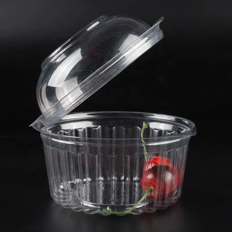 Disposable Fruit Salad Container 5 Disposable Fruit Salad Container 5