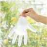 polylactic acid biodegradable packaging
