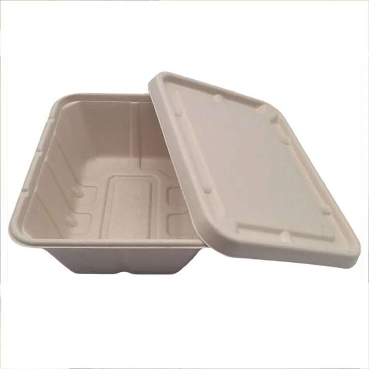 Disposable Sugarcane Pulp 450ml Lunch Box