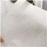Biodegradable PLA Meltblown Non Woven
