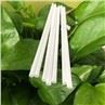 Biodegradable PLA Straws White