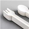 Compostable Sugarcane Paper Fork Knife Spoon