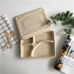 Degradable Sugarcane Bagasse Boxes