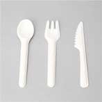 Disposable Bagasse Spoon Fork Knife
