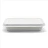 Disposable Sugarcane Pulp 450ml Lunch Box