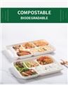 Compostable Sugarcane Food Tray 6 Division