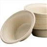 Compostable Takeout Sugarcane Dinner Container