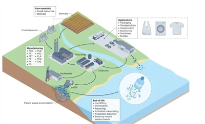 A Recent Study From Yale University Has Found That Switching To Biodegradable...