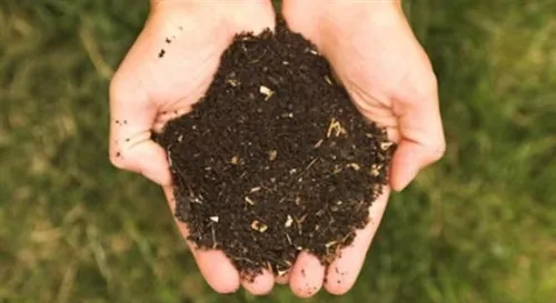 Italy: Low-Cost, Rapid Technology To Detect Fake Biodegradable Plastics