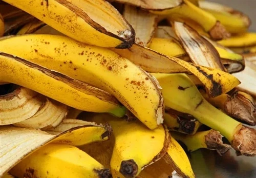 Remarkable Discovery in India: Banana Peels Can Be Converted Into Biodegradab...