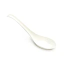 Disposable Cornstarch Spoon White Color High Quality